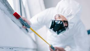 Real Estate Pest Inspections in Granger, IN